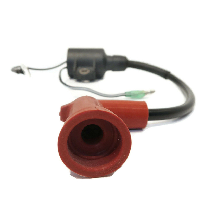 Outboard Ignition Coil Assy 63 - Spark Plug 评论和价格